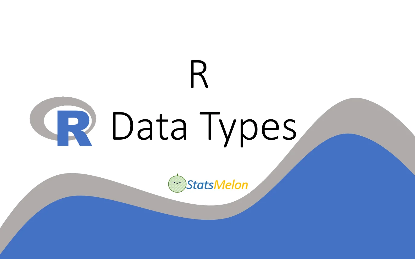 r data types