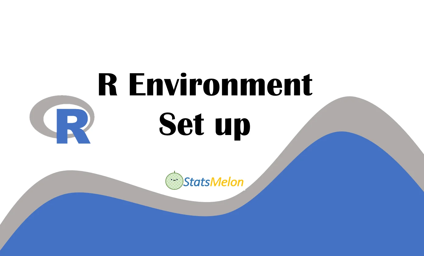 r environment set up